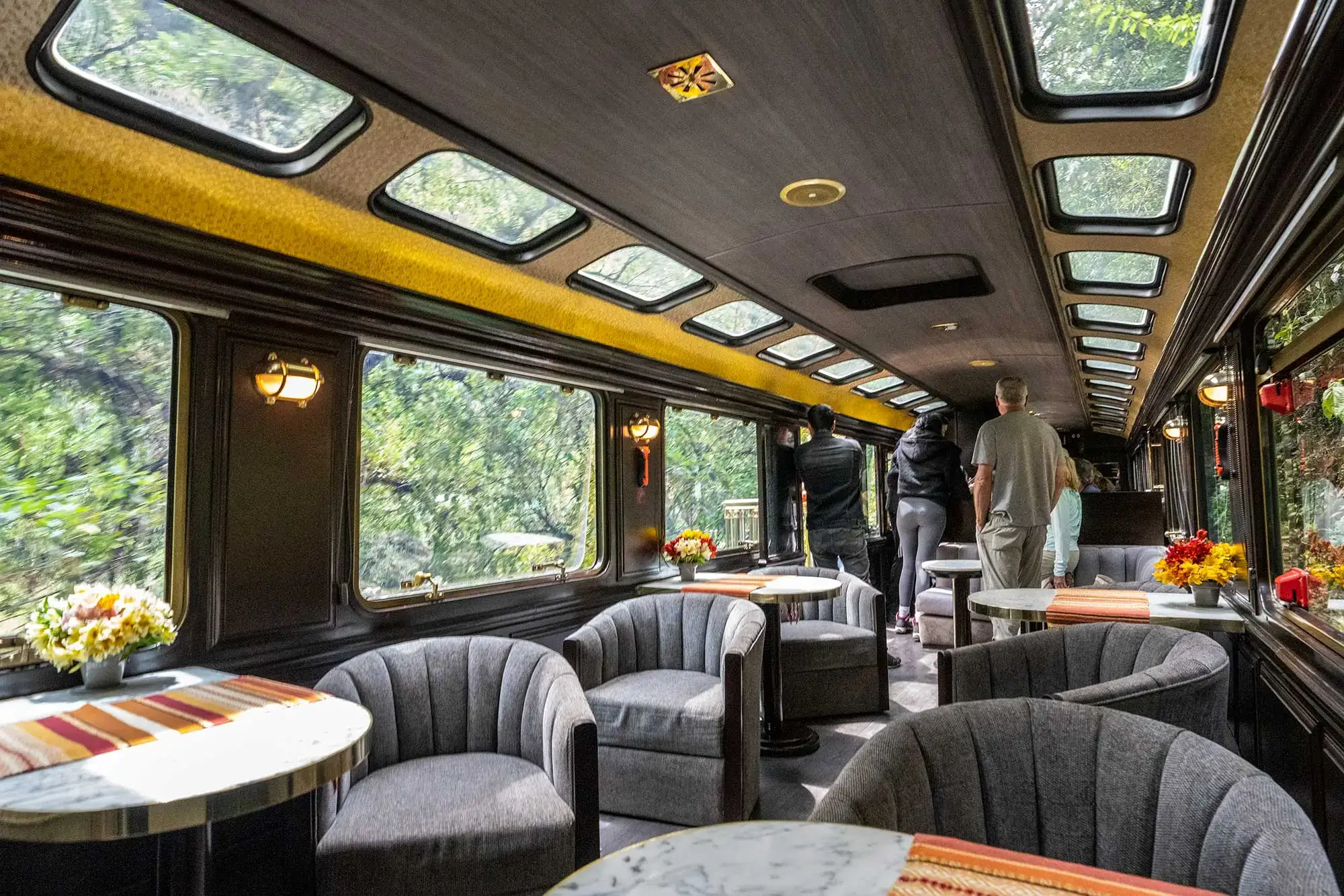 First Class Train Scenic View