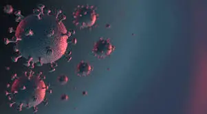 rt pcr molecular test